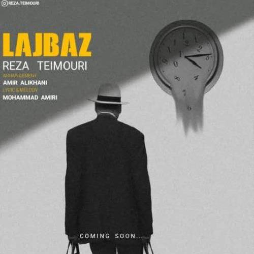 رضا تیموری لجباز